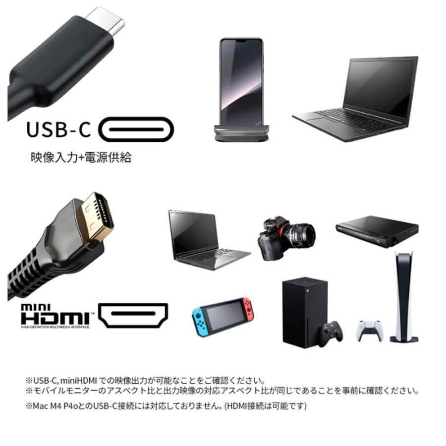 JAPANNEXT（ジャパンネクスト） JAPANNEXT 13.3インチ IPSパネル搭載