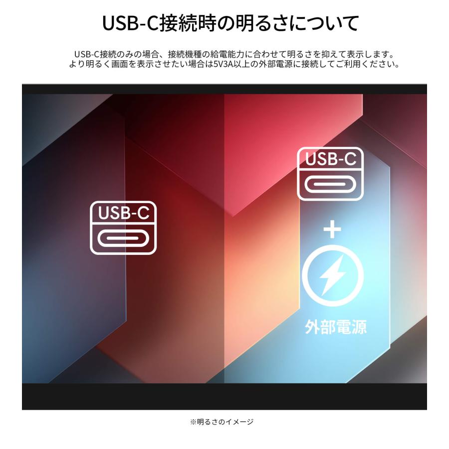 JAPANNEXT（ジャパンネクスト） JAPANNEXT 17.3インチ IPSパネル搭載