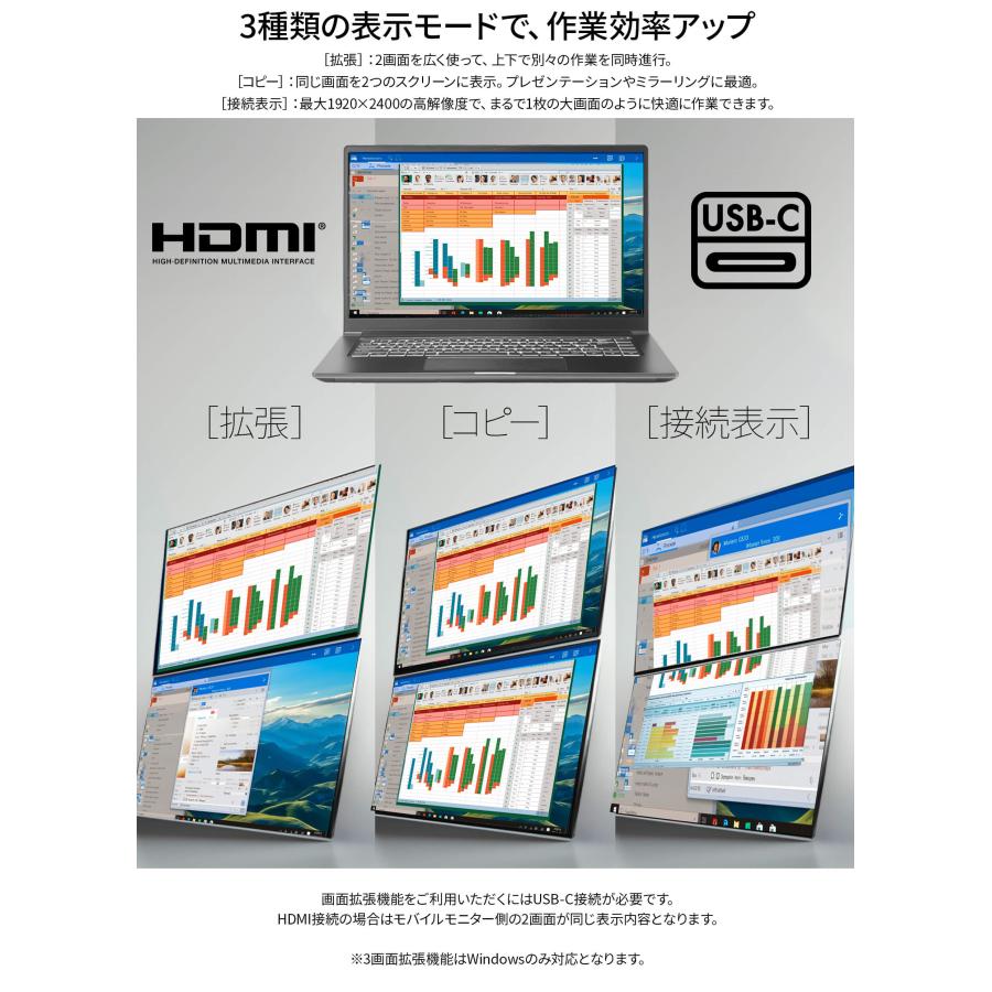 JAPANNEXT（ジャパンネクスト） JAPANNEXT 14インチ IPSパネルx2搭載