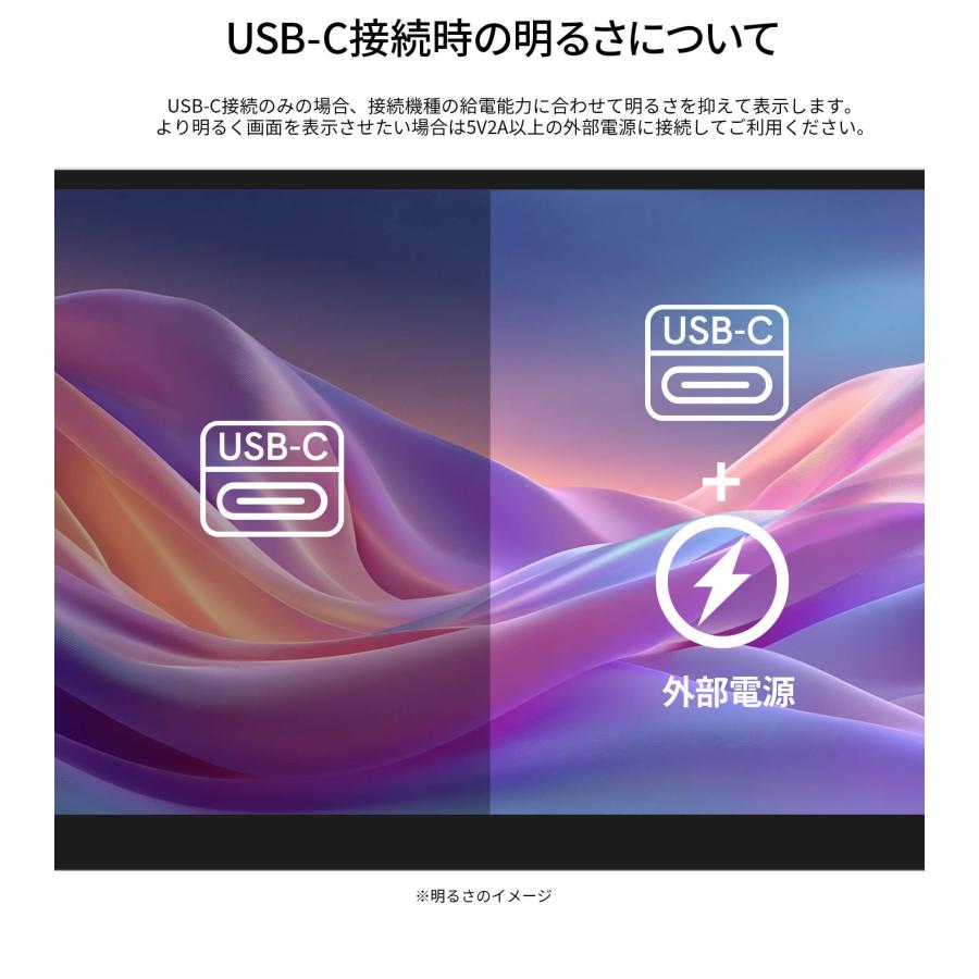 JAPANNEXT（ジャパンネクスト） JAPANNEXT 13.3インチ IPSパネル搭載