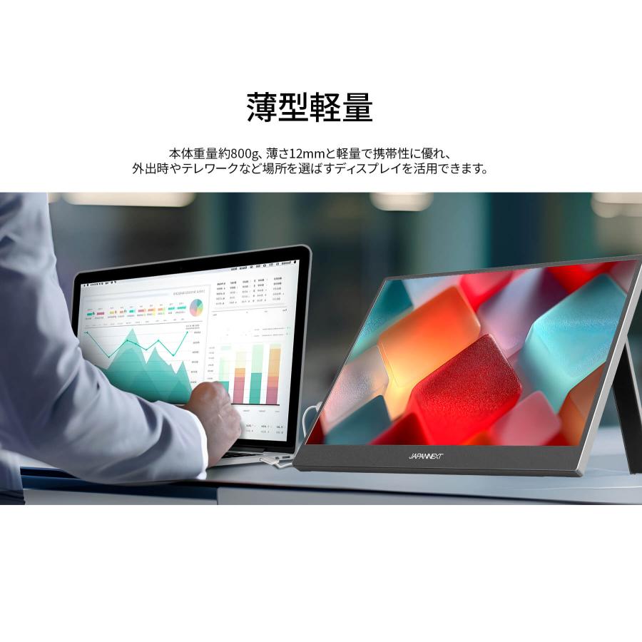 JAPANNEXT（ジャパンネクスト） JAPANNEXT 15.6インチ IPSパネル搭載