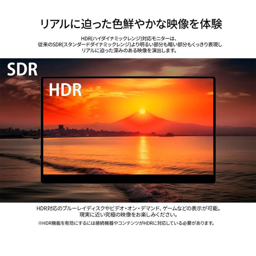 JAPANNEXT 15.6インチ IPSパネル搭載 10点マルチタッチ対応 フルHD(1920x1080)解像度 モバイルモニター JN-MD-IPS156F-T miniHDMI USB-C 【2年保証】 | JAPANNEXT | 06