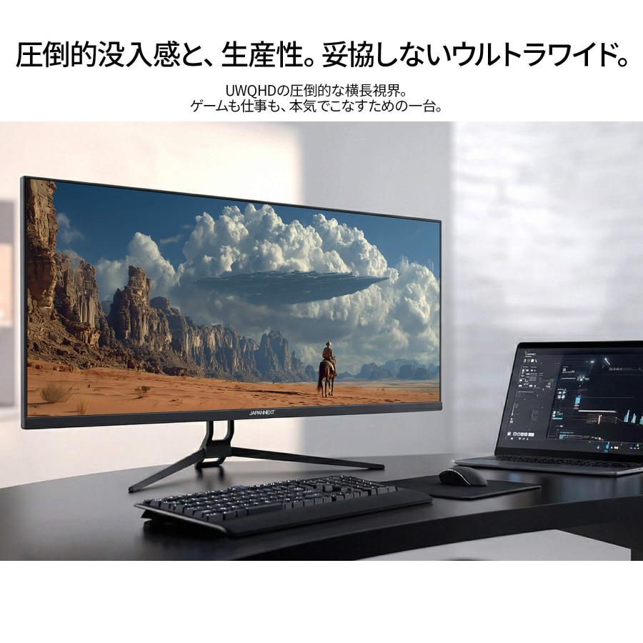 JAPANNEXT（ジャパンネクスト） JAPANNEXT 34インチ IPSパネル搭載