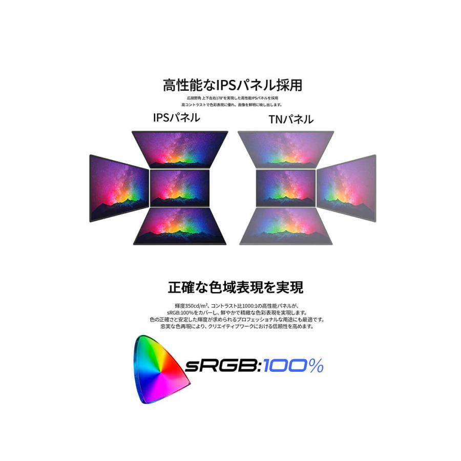 JAPANNEXT（ジャパンネクスト） 【ECサイト限定】JAPANNEXT 24.5インチ