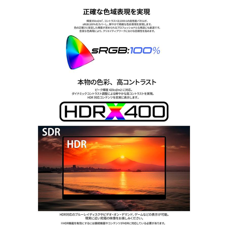 JAPANNEXT（ジャパンネクスト） JAPANNEXT 10.5インチ IPSパネル搭載 5