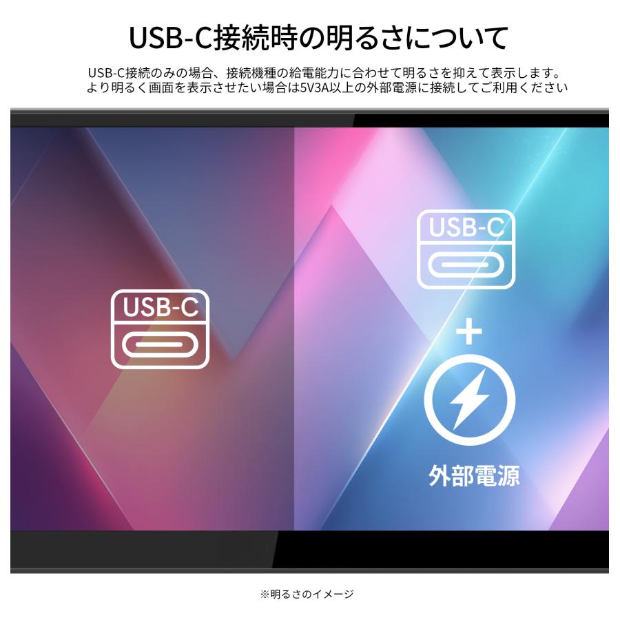 JAPANNEXT（ジャパンネクスト） JAPANNEXT 10.1インチ IPSパネル搭載