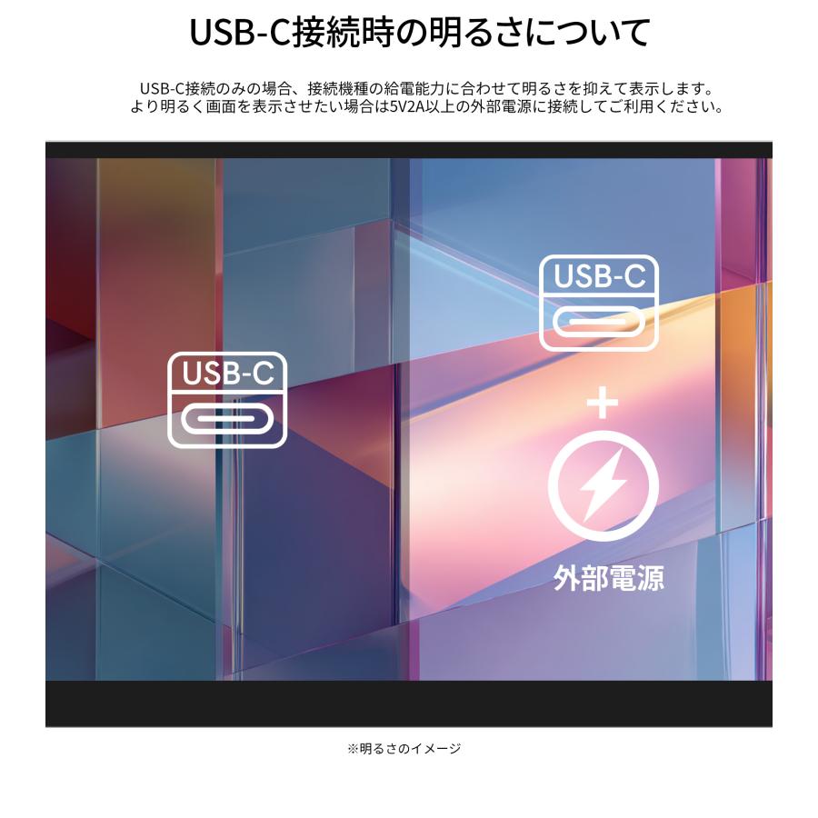JAPANNEXT（ジャパンネクスト） JAPANNEXT 11.6インチ VAパネル搭載