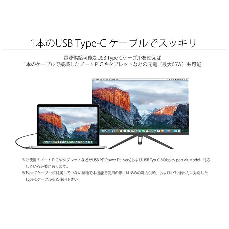 JAPANNEXT（ジャパンネクスト） 液晶モニター 28インチ IPSパネル 4K