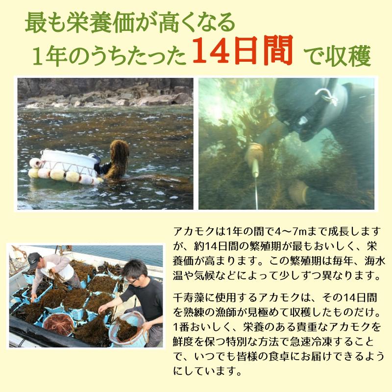 アカモク 千寿藻 小分け （味付なし） 40g×75食 テレビ通販 冷凍 海藻 玄界灘産 スーパーフード CM放映中_14