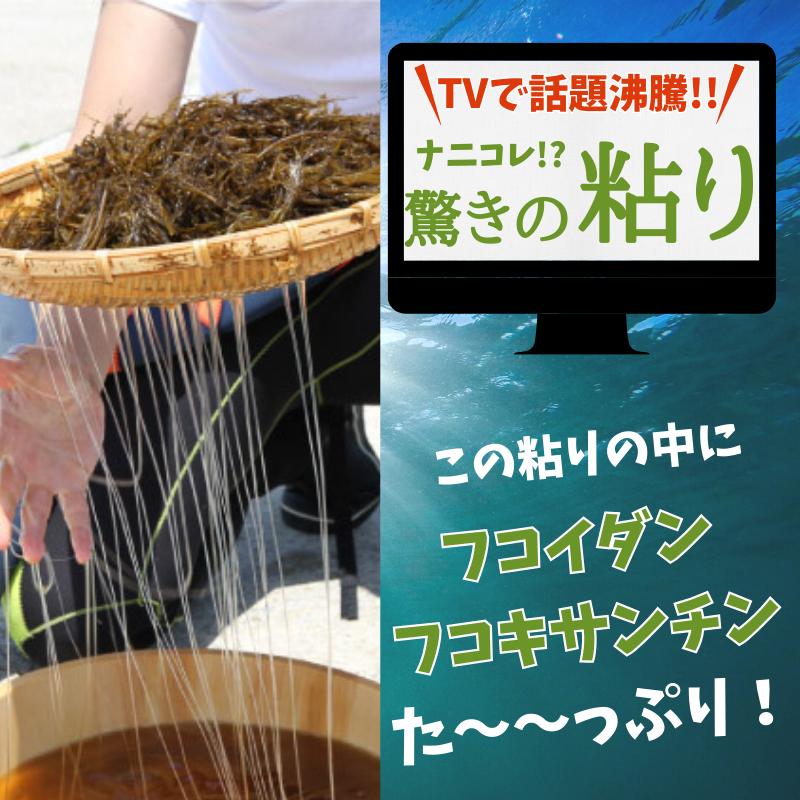 アカモク 千寿藻 小分け （味付なし） 40g×75食 テレビ通販 冷凍 海藻 玄界灘産 スーパーフード CM放映中_6