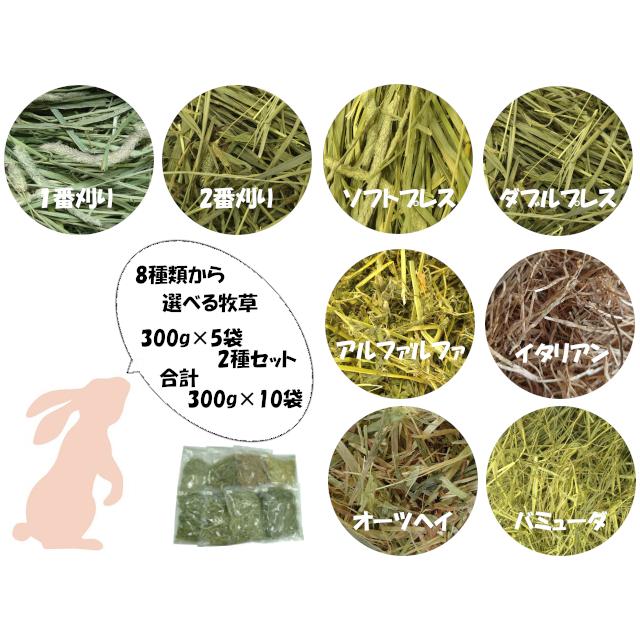 組み合わせ自由 牧草8種類 2種類選べます 300g 5袋が2セット計10袋 送料込み Typeof7grassandcrop ペットフード美浦 通販 Yahoo ショッピング