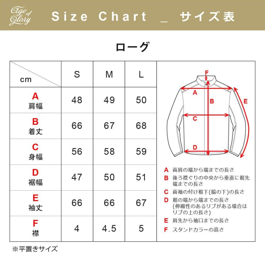 【正規総代理店】エイジオブグローリー ローグ ブラック / Age of Glory ライディング ライダース ジャケット バイク用 プロテクター付き 革ジャン 本革の画像