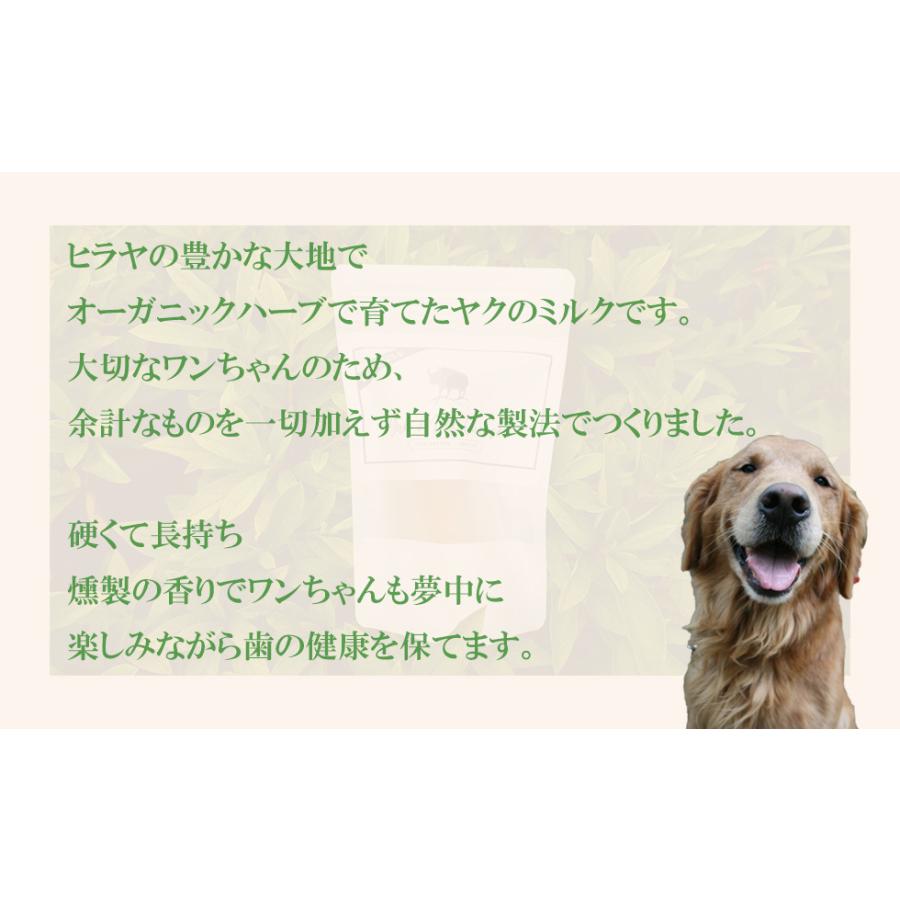 楽天1位】ヒマラヤ ヤクチーズ Lサイズ 約100g 犬用おやつ ハード 原料