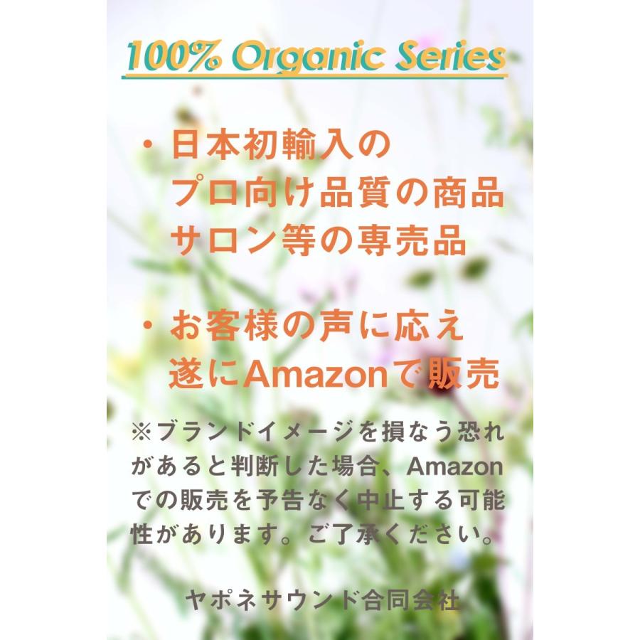 100%オーガニック　グーズベリー(アムラ)パウダー / Gooseberry(Amla) Powder 100g オーガニックシャンプー　トリートメント 　高濃度タンニン |  | 03