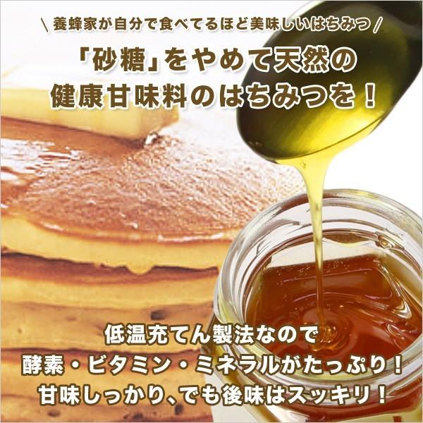 ハニー・アマンテ 1，000g×2本 2kg 古代の森の花々のはちみつ 100％オーストラリア産 蜂蜜 低温充てん製法 honey 送料無料_1