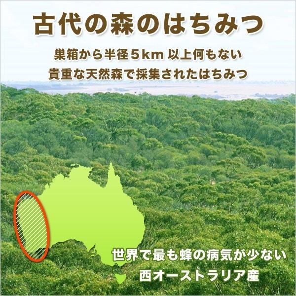 MEDY-JARA ハニー・アマンテ 1,000g×2本 2kg 古代の森の花々のはちみつ