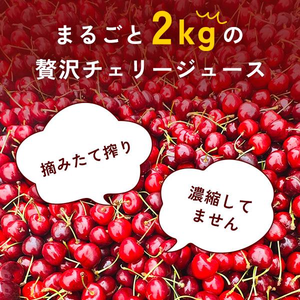 100％ ピュア チェリージュース 750ml ×3本 エデン農園 チェリー2kg分