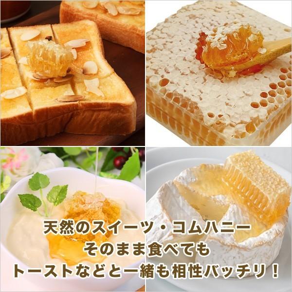 MEDY-JARA 訳あり マリーハニーTA 20+ コムハニー 巣蜜 内容量300g以上