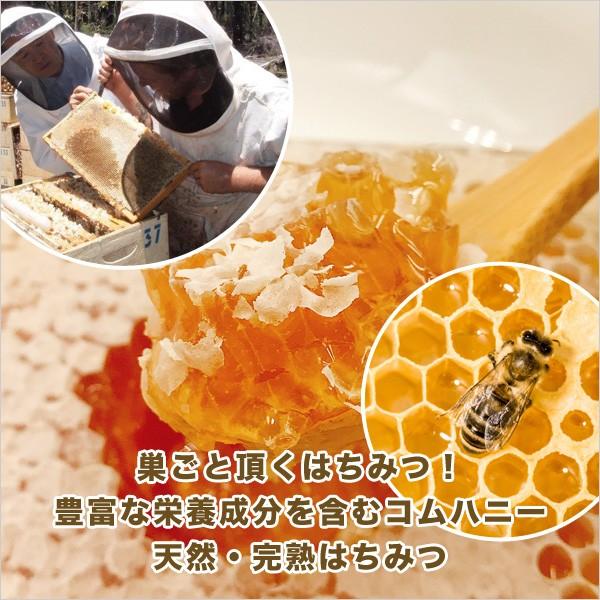 MEDY-JARA マリーハニー TA 20+ コムハニー 巣蜜 内容量300g以上 実