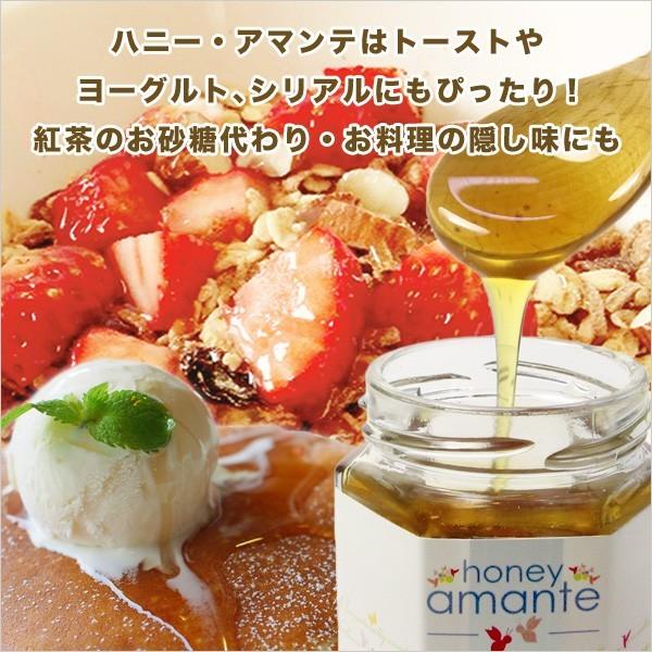 敬老の日ギフト 送料無料 健康はちみつ３本セット ジャラハニー TA 30+ ／ マリーハニーTA 20+ ／ ハニー・アマンテ 各130g 3本セット | MEDY-JARA | 05