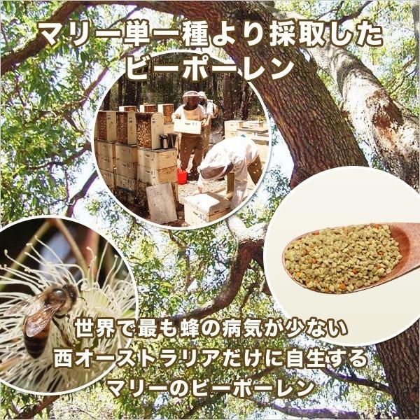 マリーのスーパーフード ビーポーレン 250g×3個セット スタンドパック