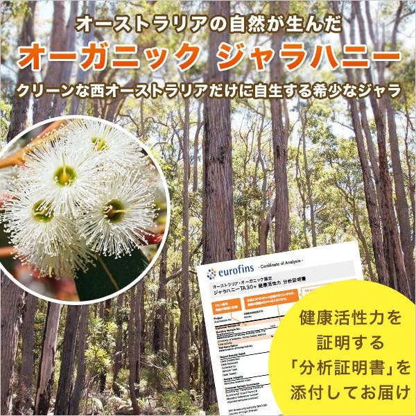 ジャラハニー TA 30+ 1,000g 1kg マヌカハニーと同様の健康活性力 オーストラリア オーガニック認定 はちみつ 蜂蜜｜jarrah｜03