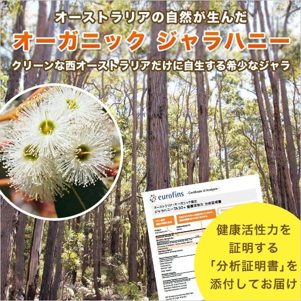 オーガニック 訳あり OUTLET ジャラハニー TA 30+ 130g マヌカ