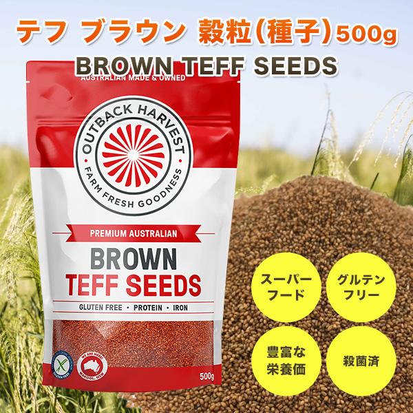 テフ 穀粒 (種子) ブラウン 500g BROWN TEFF SEEDS スーパーフード グルテンフリー 低GI オーストラリア産 殺菌済 |  | 01