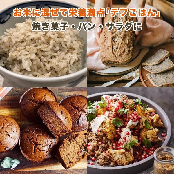 テフ 穀粒 (種子) ブラウン 500g BROWN TEFF SEEDS スーパーフード