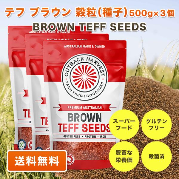 テフ 穀粒 (種子) ブラウン 500g×3個 BROWN TEFF SEEDS スーパーフード