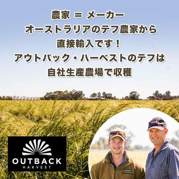 テフ 粉末 ホワイト 500g WHITE TEFF FLOUR スーパーフード グルテンフリー 低GI オーストラリア産 |  | 03