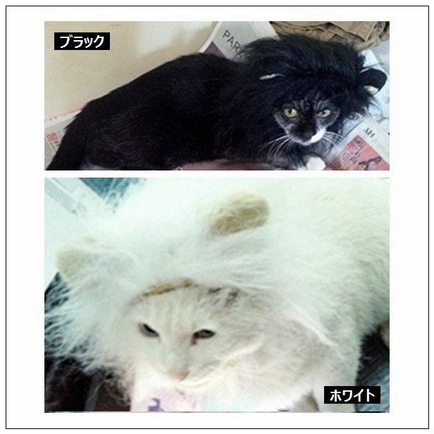 贅沢屋の 猫服 アクセサリー ペット用 コスプレ ライオン かぶり物 帽子 愛猫用 愛犬用 ライオンのかぶり物 たてがみ コスプレグッズ ペット用品 ネコ用品 イヌ用品 ねこちゃん Www Threeriversofs Com