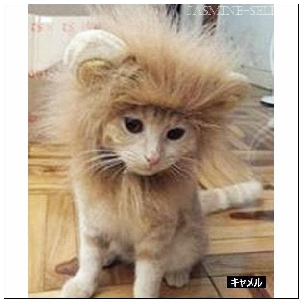 贅沢屋の 猫服 アクセサリー ペット用 コスプレ ライオン かぶり物 帽子 愛猫用 愛犬用 ライオンのかぶり物 たてがみ コスプレグッズ ペット用品 ネコ用品 イヌ用品 ねこちゃん Www Threeriversofs Com