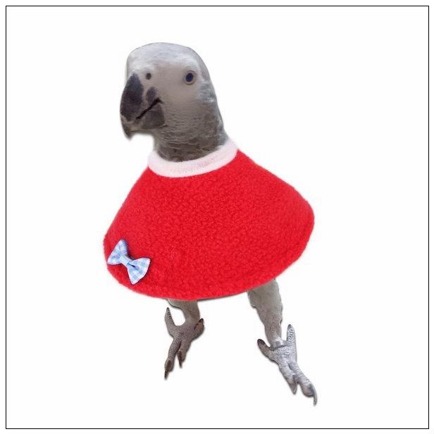 エリザベスカラー 鳥用 オウム セキセイ インコ ハト ペット用品 ペットグッズ 羽根抜き防止 マント レッド ブルー 柔らかい かわいい おしゃれ Pease Tpbuo8 Jasmine Select 通販 Yahoo ショッピング