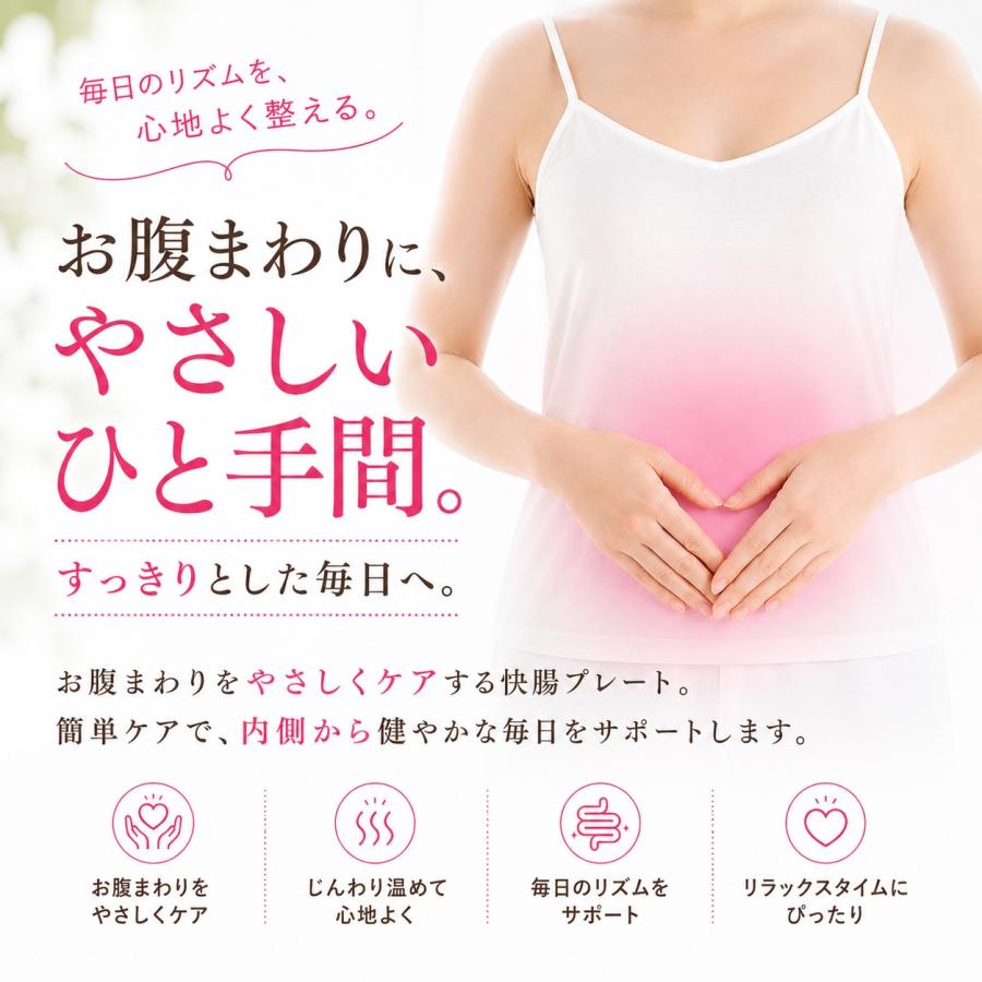 テラヘルツ快腸プレート 専用ポーチ付き : ジャスミンYahoo!店 - 通販
