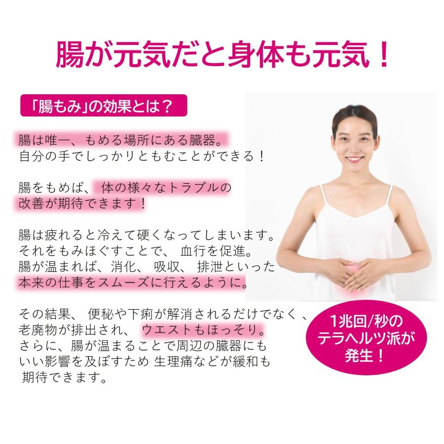 テラヘルツ快腸プレート 専用ポーチ付き : ジャスミンYahoo!店 - 通販