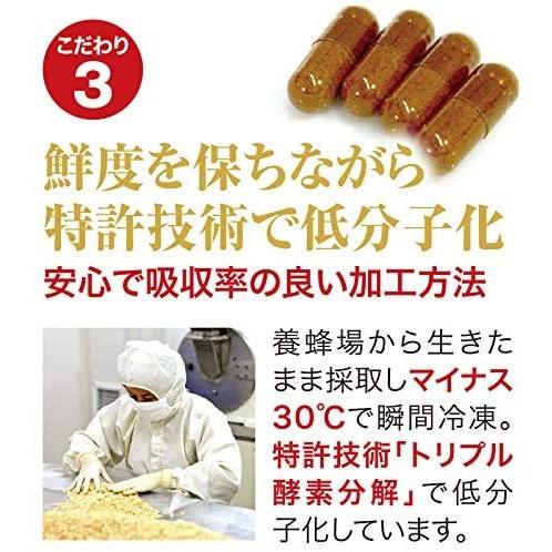 元気蜂 蜂の子 パワーサプリ 和漢 ハチ ミツバチ パワービー