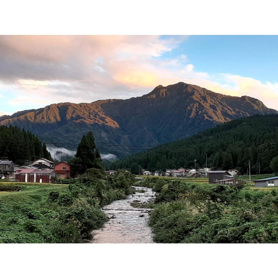 本日価格！！ お米 30kg 白米 送料無料 農家直送 新潟県糸魚川産 コシヒカリ 新米 令和5年度産 12回定期便 【JS2920268682】(103488円)