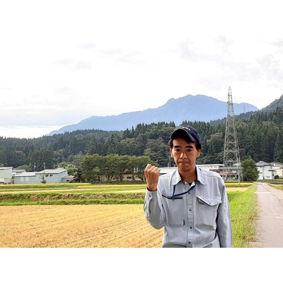 本日価格！！ お米 30kg 白米 送料無料 農家直送 新潟県糸魚川産 コシヒカリ 新米 令和5年度産 12回定期便 【JS2920268682】(103488円)