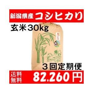 コシヒカリ お米 30kg 玄米 送料無料 新潟県糸魚川産 農家直送