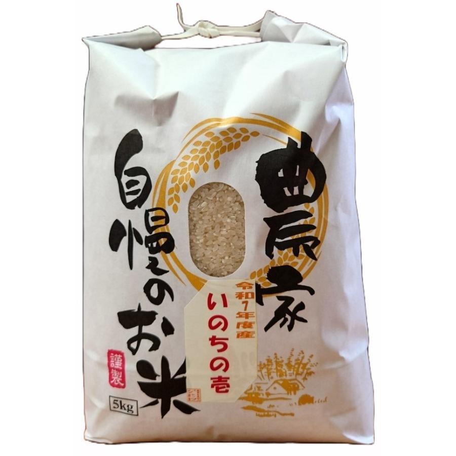 「いのちの壱」　新米 滋賀県産　令和7年産　白米10kg お米 :: 《送料無料》「 いのちの壱」 白米 10kg 滋賀県産 環境