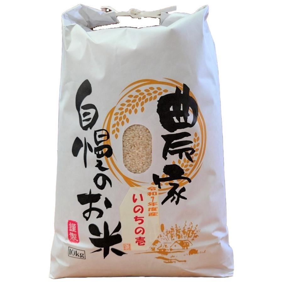 いのちの壱】お米 10kg 白米 送料無料 新潟県糸魚川産 令和7年度産