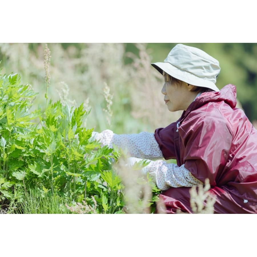 よもぎ 粉末 40g x 2袋 セット 新潟県 糸魚川 能生谷産 送料無料 :yomogi1:農業生産法人ジャッツ食彩館 - 通販 - Yahoo!ショッピング よもぎ 粉末 40g x 2袋 セット 新潟県 糸魚川 能生谷産 送料無料 :yomogi1:農業生産法人ジャッツ食彩館 - 通販 - Yahoo!ショッピング