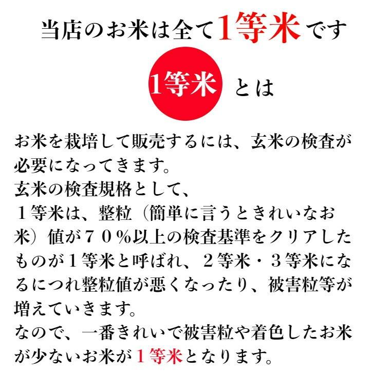 ななつぼし 無洗米 10kg（5kg×2袋）7年産 北海道産 1等米 特Ａ獲得 産地直送 送料無料の画像