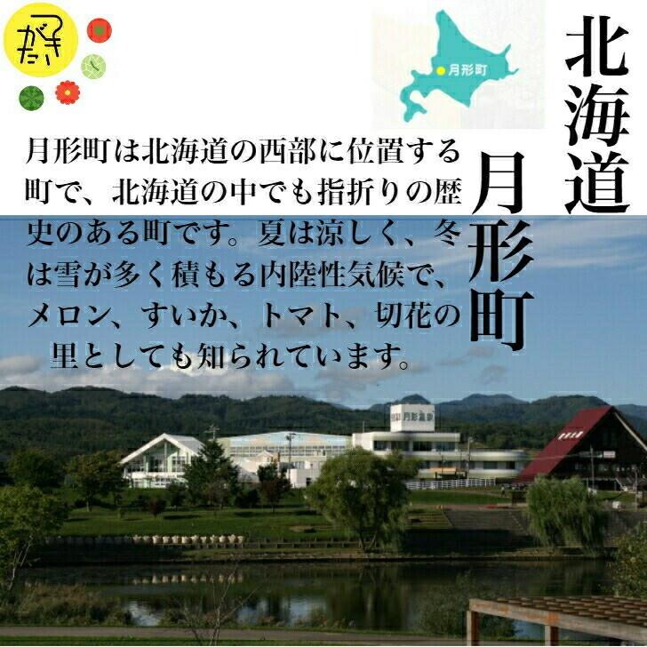ななつぼし 無洗米 10kg（5kg×2袋）7年産 北海道産 1等米 特Ａ獲得 産地直送 送料無料の画像