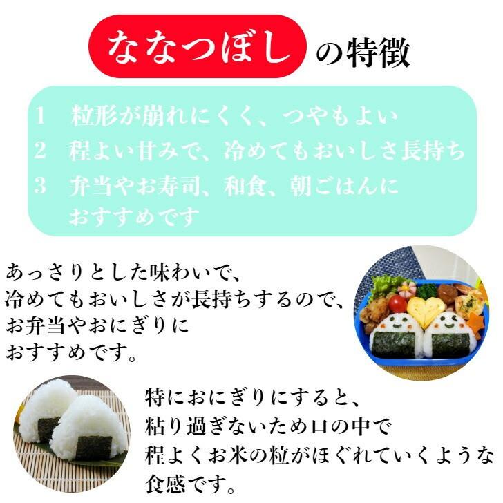 ななつぼし 無洗米 10kg（5kg×2袋）7年産 北海道産 1等米 特Ａ獲得 産地直送 送料無料の画像