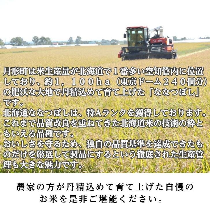 ななつぼし 無洗米 10kg（5kg×2袋）7年産 北海道産 1等米 特Ａ獲得 産地直送 送料無料の画像