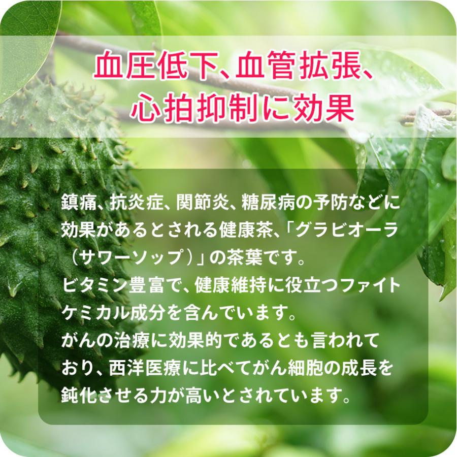 グラビオーラ茶葉100g くせのない飲み口 健康茶｜javasuperfood｜02