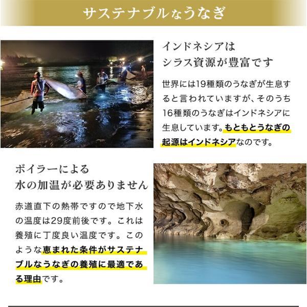 ジャワ うなぎ 蒲焼き 鰻 長焼き 大サイズ 150g 1本 タレ（山椒）付き ふるさと ギフト 2024 無投薬 オーガニック 国産 たれ｜jawasuisan｜07