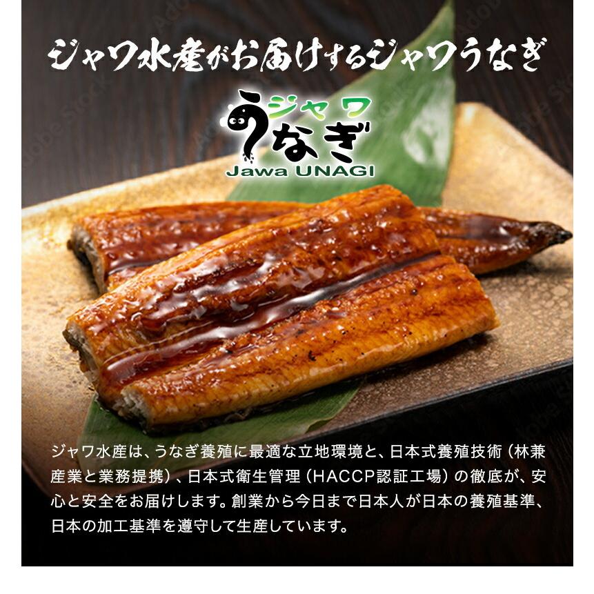 最大81 Offクーポン 父の日 プレゼント ジャワ うなぎ 大サイズ 鰻 蒲焼き 長焼き 150g 3本 タレ 山椒 付き 国産 飼料で育て 九州 柳川 風 たれ で仕上げました Cisama Sc Gov Br